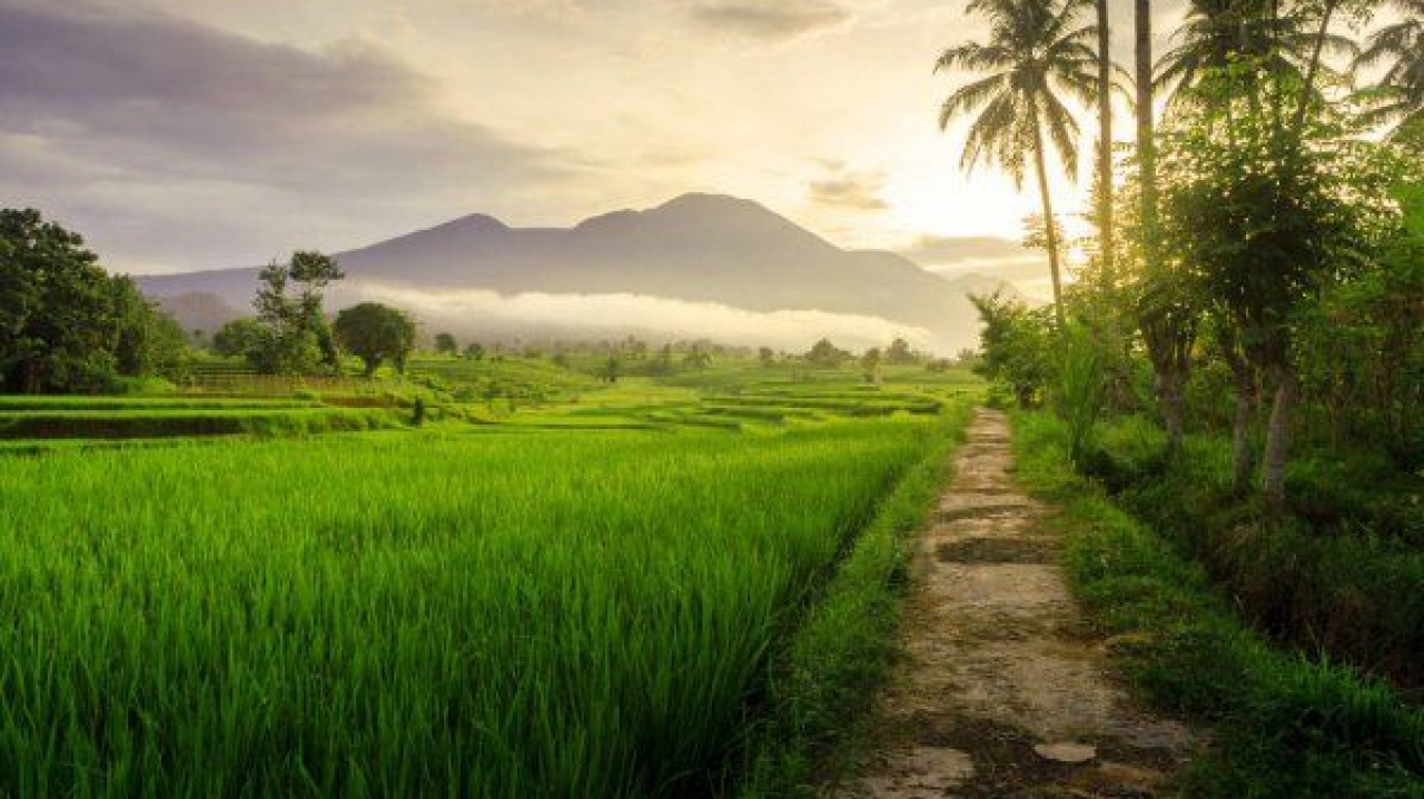 Lingkungan Alam Pedesaan
