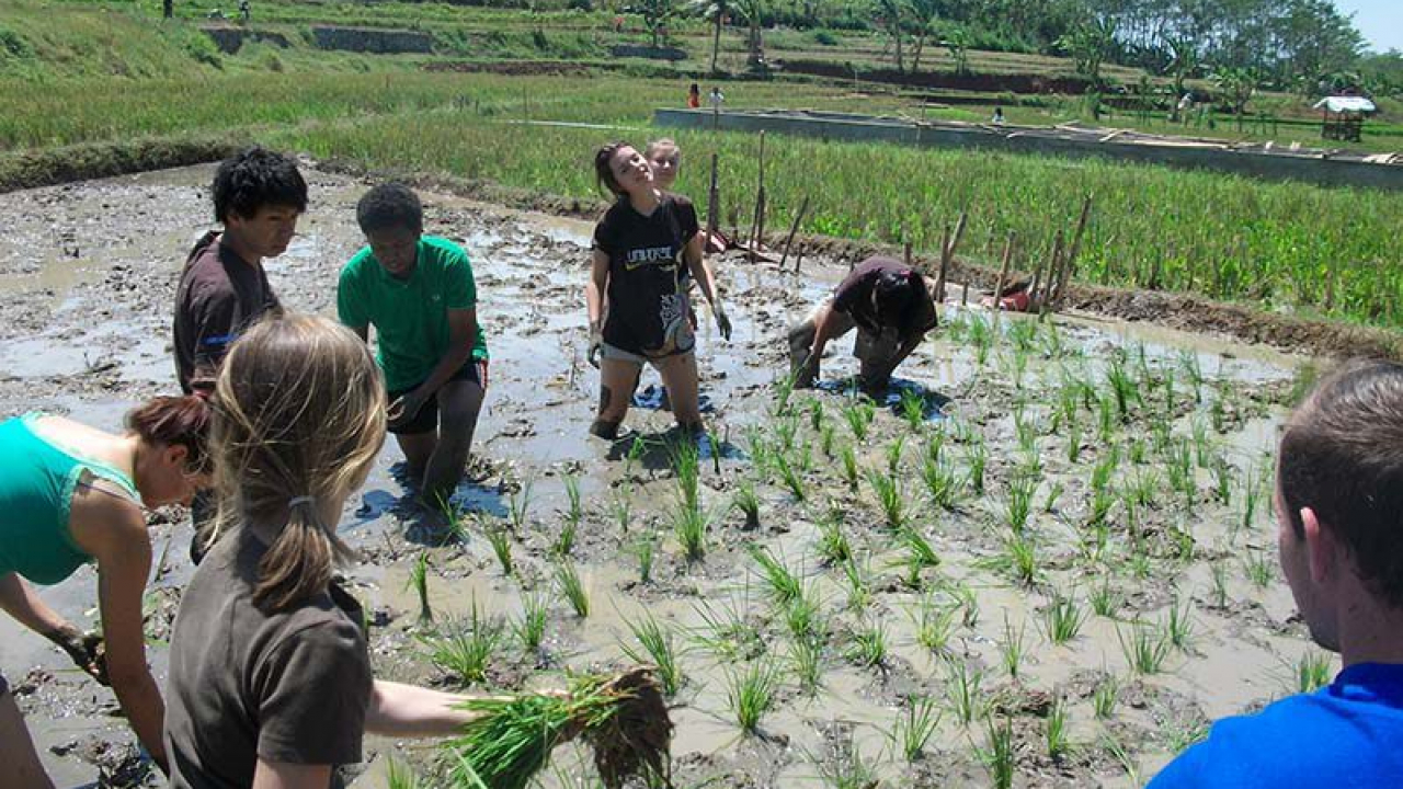 Agro & Edukasi Tanaman Lokal