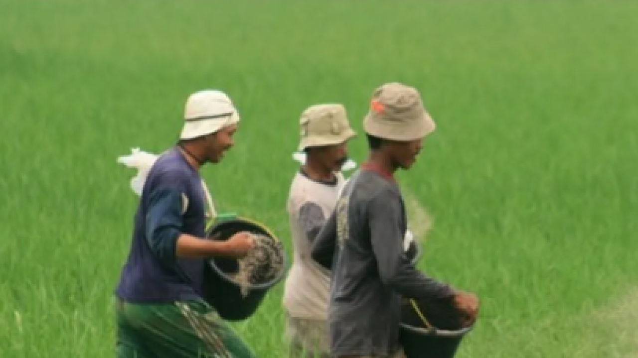Simpang Hulu Dukung Ketahanan Pangan Ketapang
