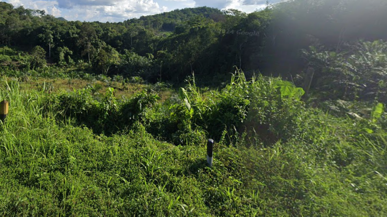 Kebun DW
