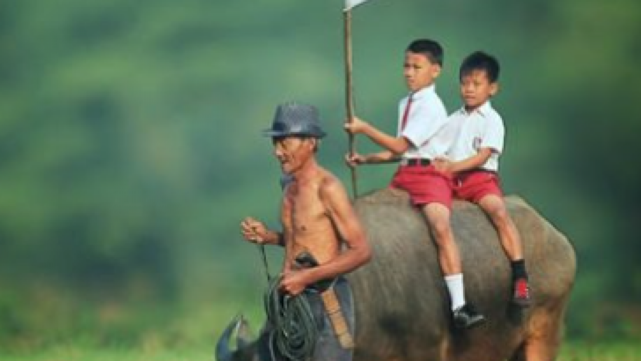 Sumber Daya Manusia