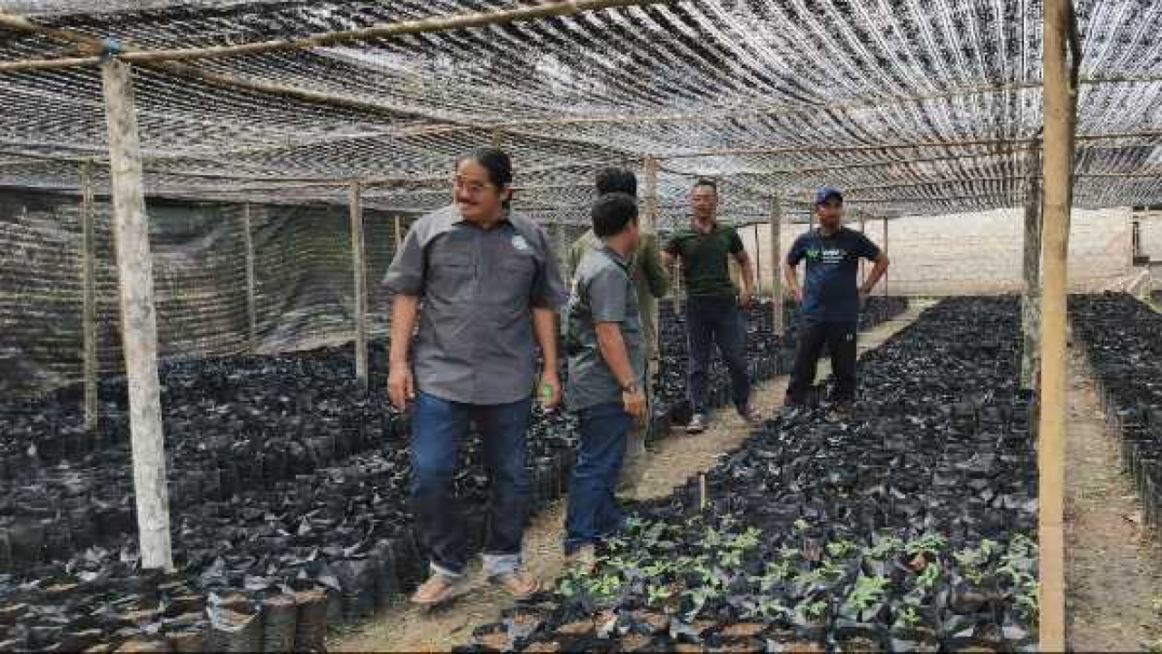 Pertanian dan Perkebunan