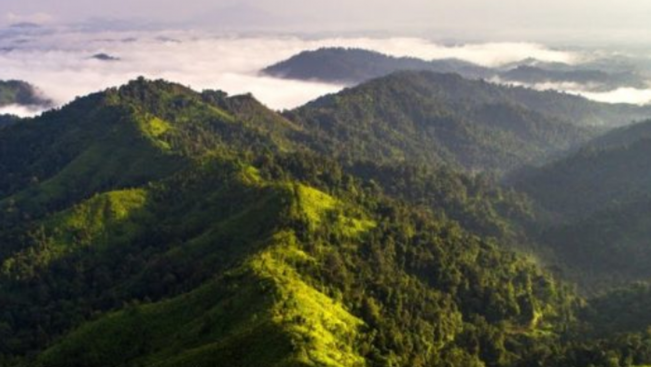 Bukit Panorama Kenanga