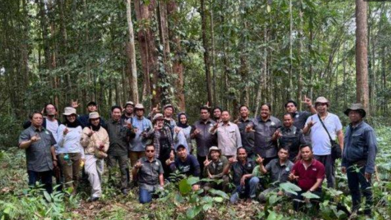 Upaya Petani di Ketapang Kalbar Swadaya Jaga Pelestarian Alam