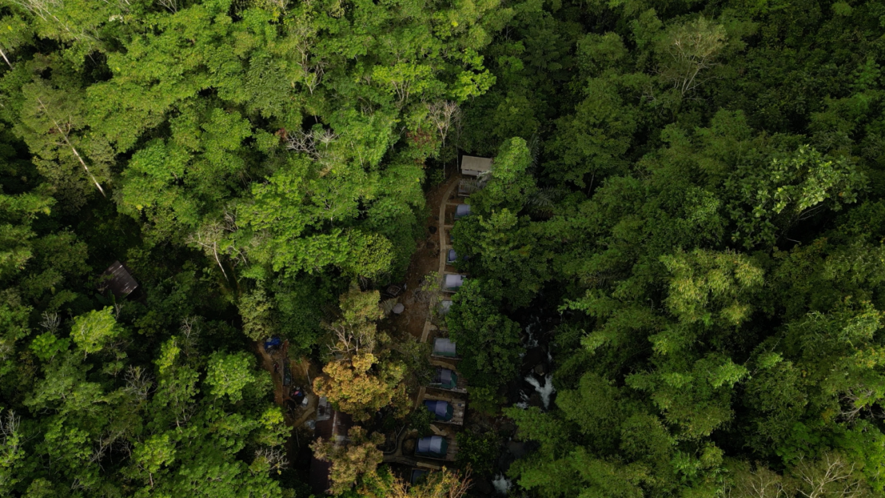 Hutan Desa Batu Mas Jadi Model Keberlanjutan Ekologis di Ketapang