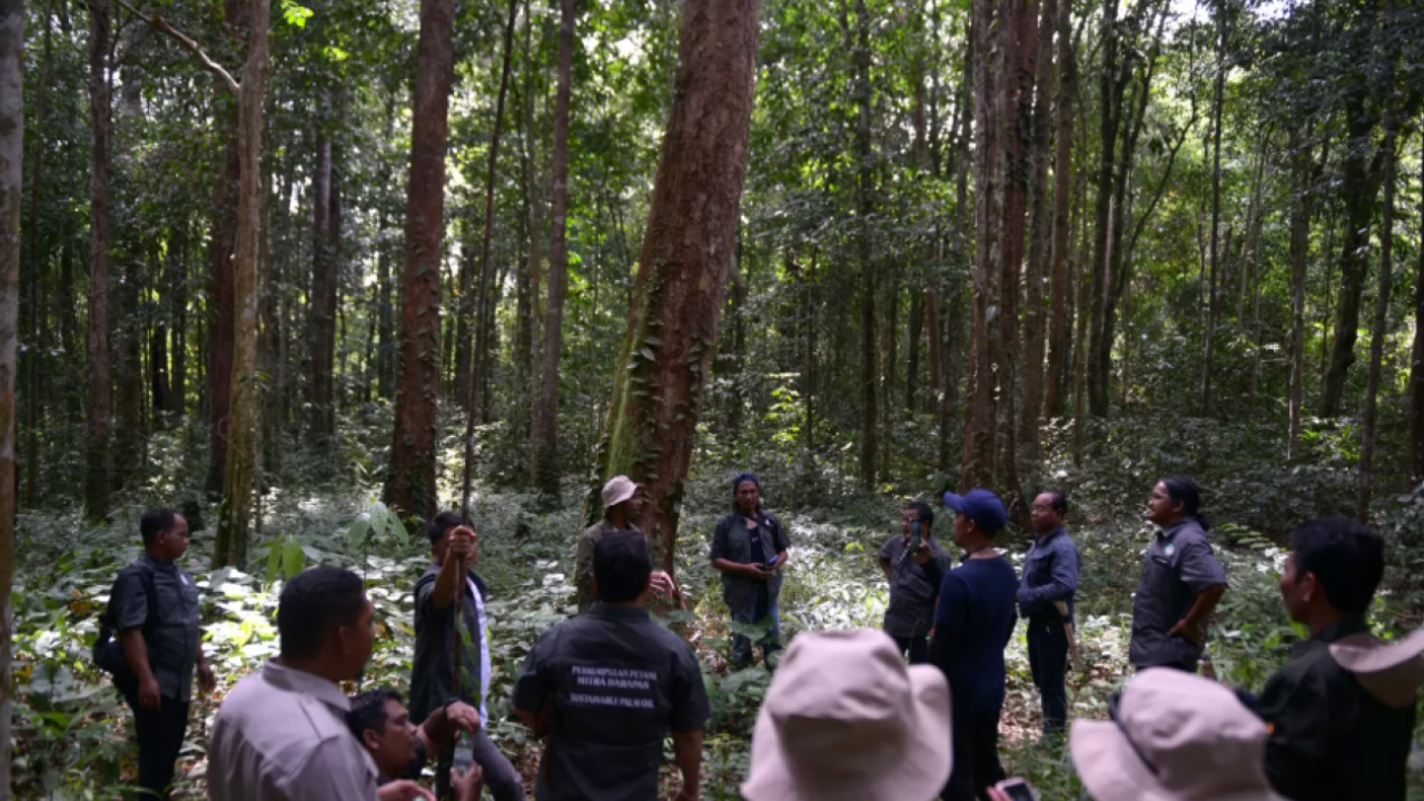 Upaya Petani di Ketapang Kalbar Swadaya Jaga Pelestarian Alam
