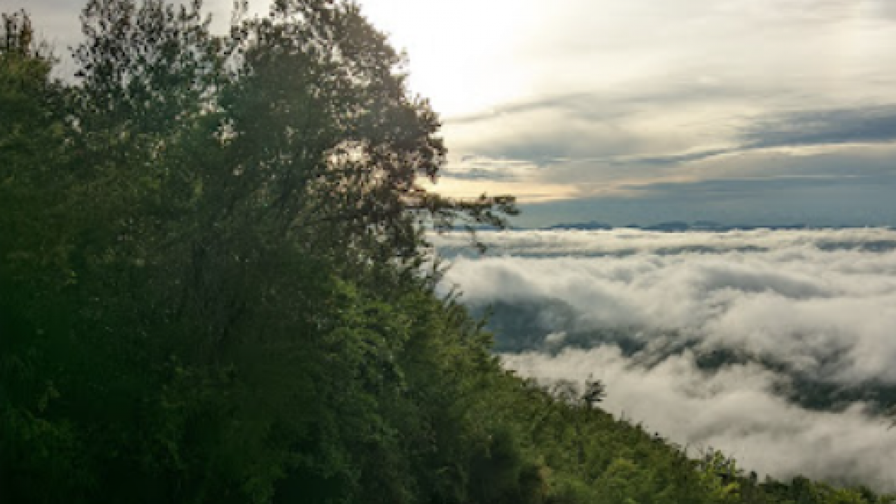 Bukit Nibong