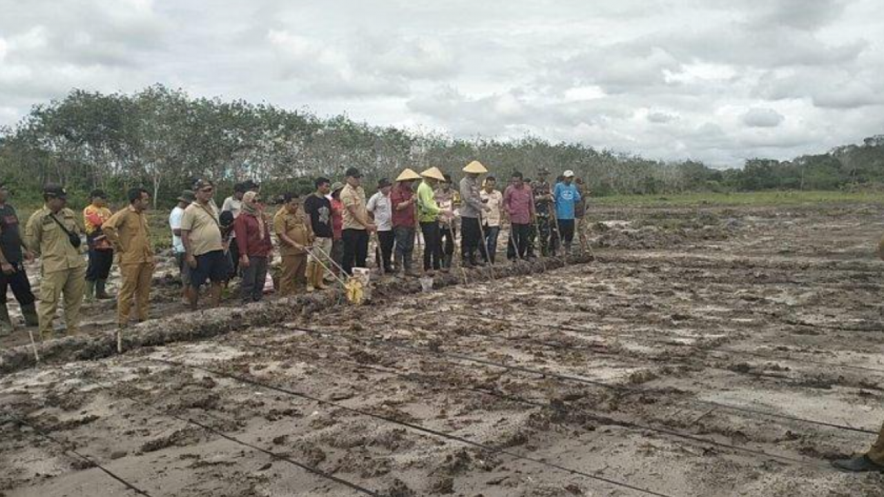 Kapolsek Nanga Tayap Lakukan Penanaman Serentak Bibit Jagung di Lahan Seluas  14 Hektare