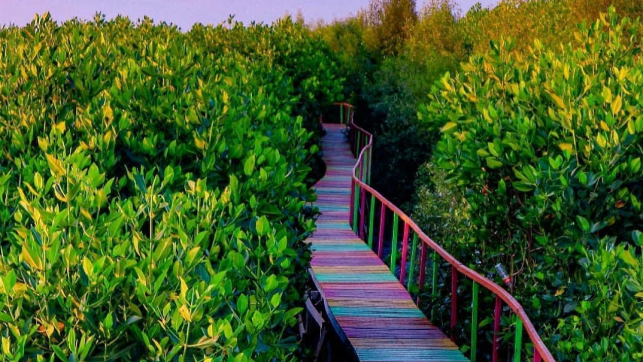 Taman Mangrove