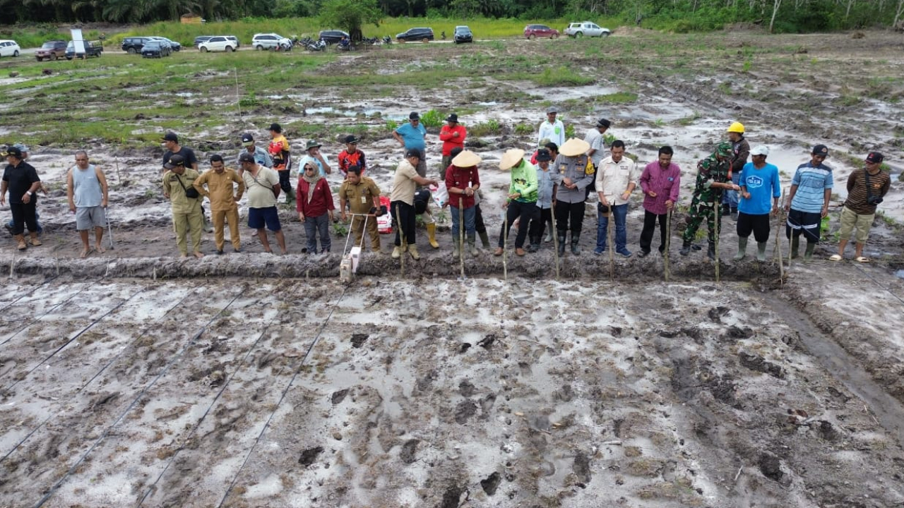 Satu Juta Hektar untuk Negeri: Tanam Jagung Serentak di Simpang Tiga Sembelangaan
