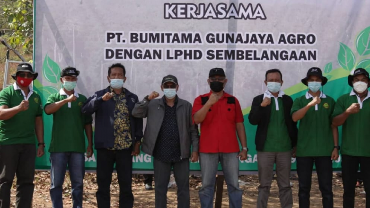 Masyarakat Hutan Desa Simpang Tiga Sembelangaan Bersama BGA Tanam Pohon Kehidupan di Lahan Eks Terbakar
