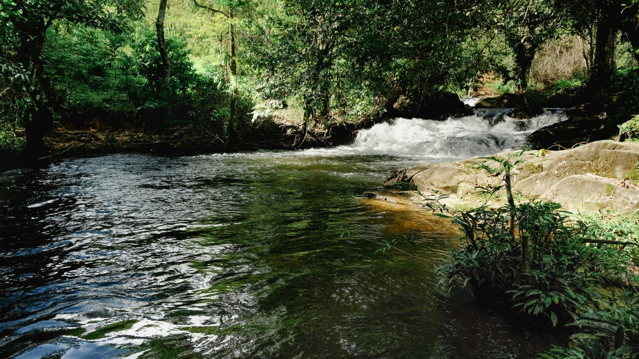 Wisata Alam Sungai & Pedesaan