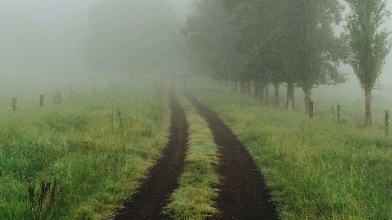 Spot Foto Alam & Healing Desa