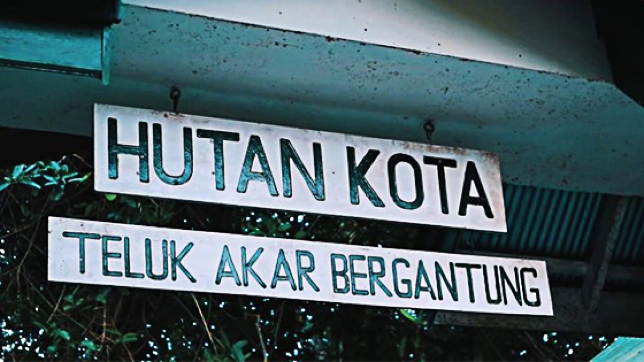 Hutan Kota "Akar Bergantung"