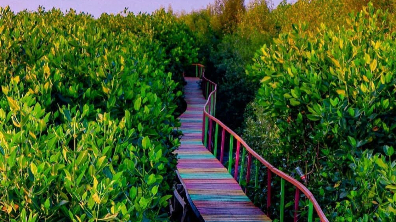 Taman Mangrove