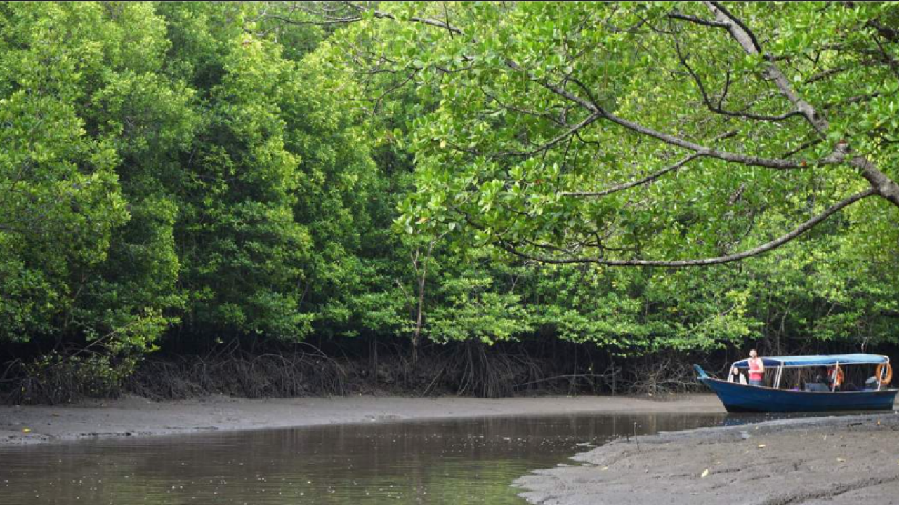 Sungai Bakau River Cruise
