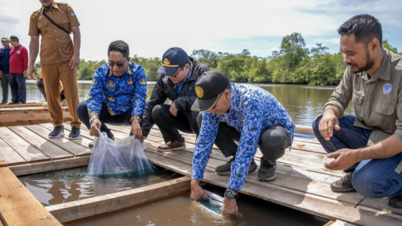 Dukung Ekonomi Berkelanjutan, YIARI dan KMPGS Kembangkan Perikanan Nila Berbasis Koperasi