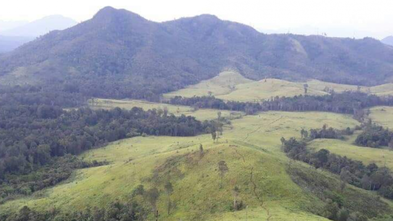 Bukit Telletublies