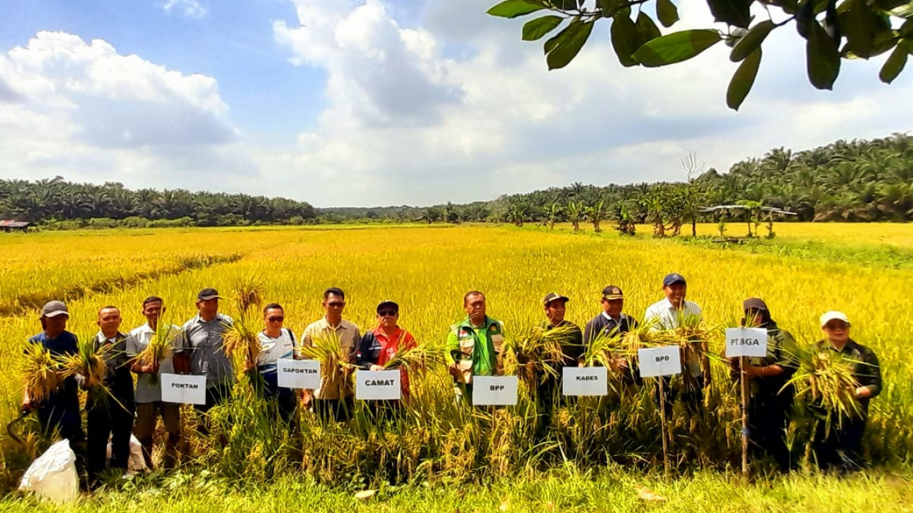 monitoring dan evaluasi program ketahanan pangan padi sawah poktan padi sawah,30 januari 2026