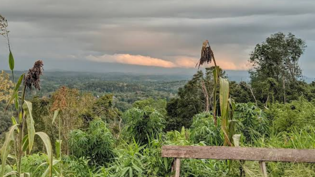 Bukit Sepotai