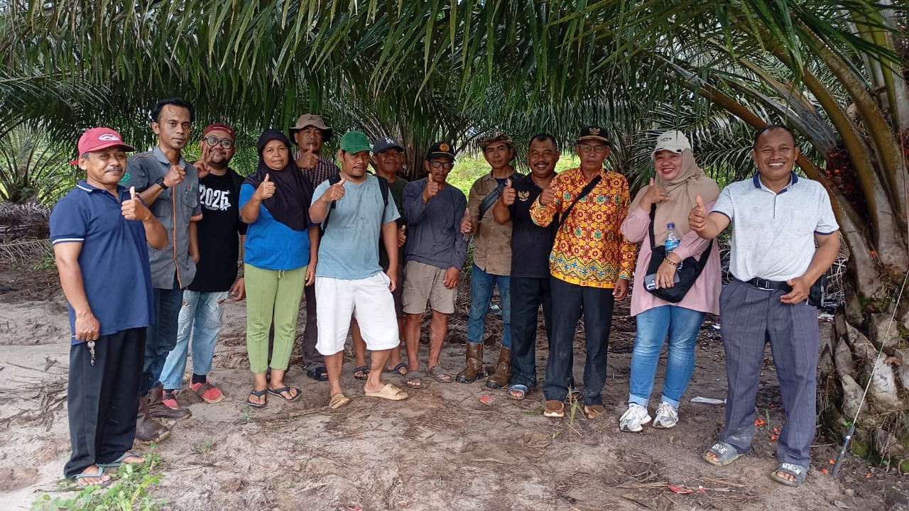 Verifikasi Lahan STDB Tanaman Kelapa Sawit di Belaban Tujuh