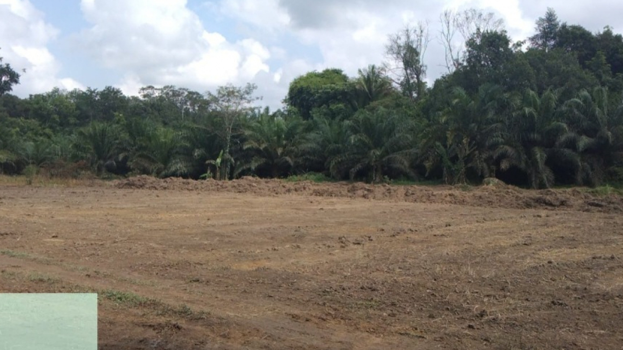 Pembangunan lapangan sepak bola