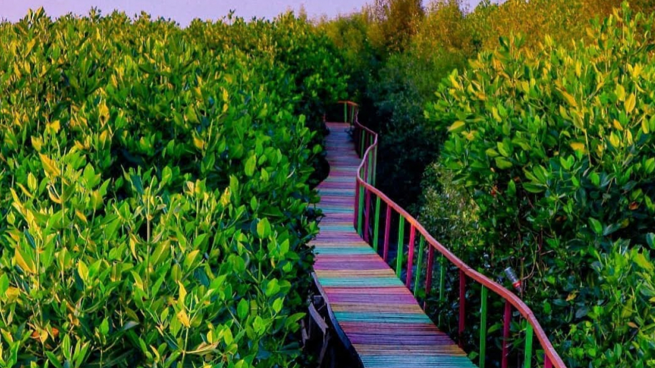 Taman Mangrove