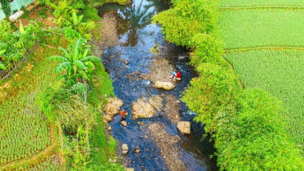 Ekowisata dan Keanekaragaman Hayati