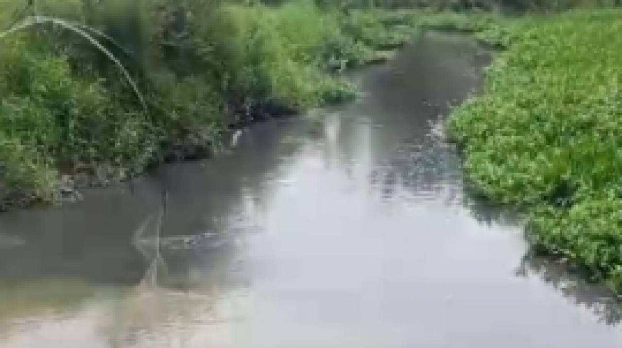 Sungai Titi Beringin