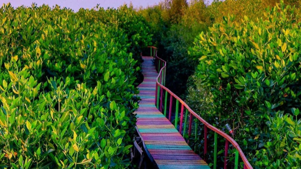 Taman Mangrove