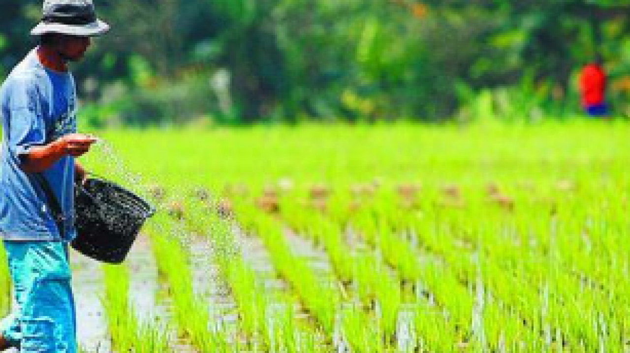Pertanian dan Perkebunan