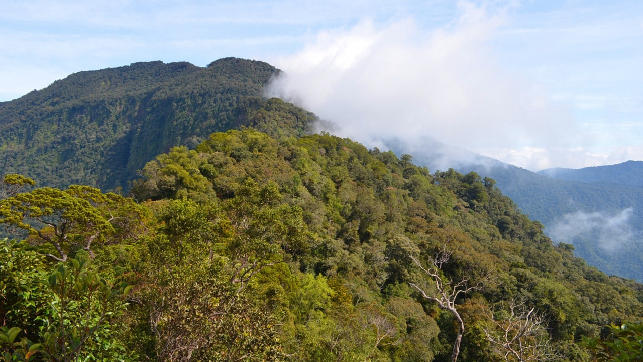 Bukit Raya
