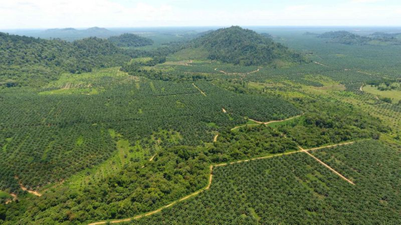 Kemitraan dalam Pengelolaan Hutan Lestari