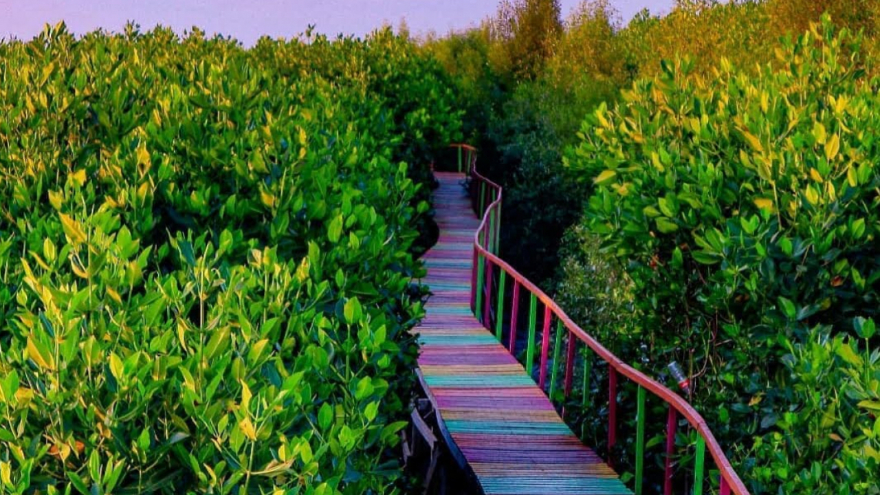 Taman Mangrove