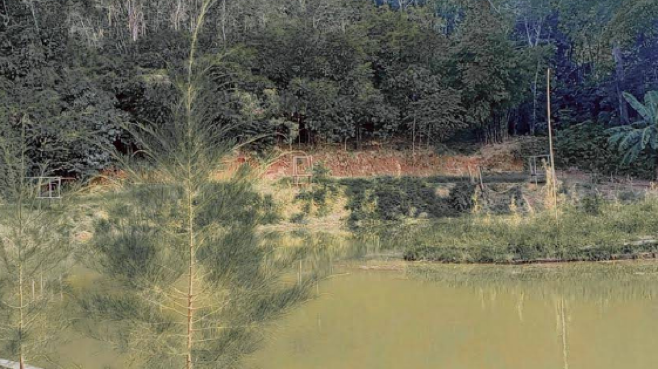 Bukit Menanti
