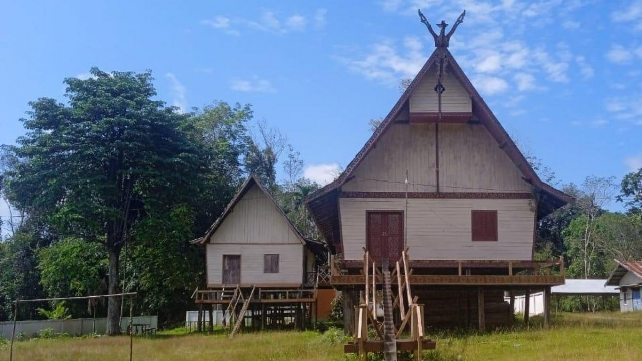 Wisata Budaya Gawai Adat Budaya Dayak