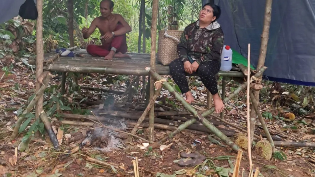 Serunya Berburu Durian Jatuh Jelang Natal di Hutan Kalimantan