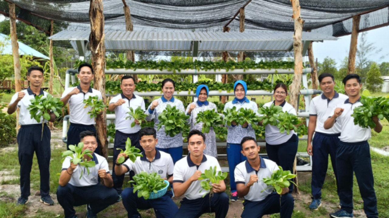 Prajurit dan Jalasenastri Lanal Ketapang Panen Selada Air Hasil Ketahanan Pangan