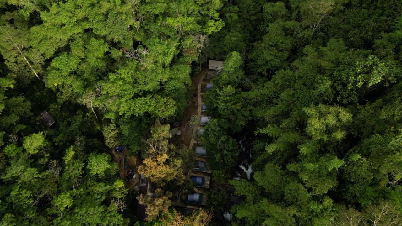 Upaya Petani di Ketapang Kalbar Swadaya Jaga Pelestarian Alam