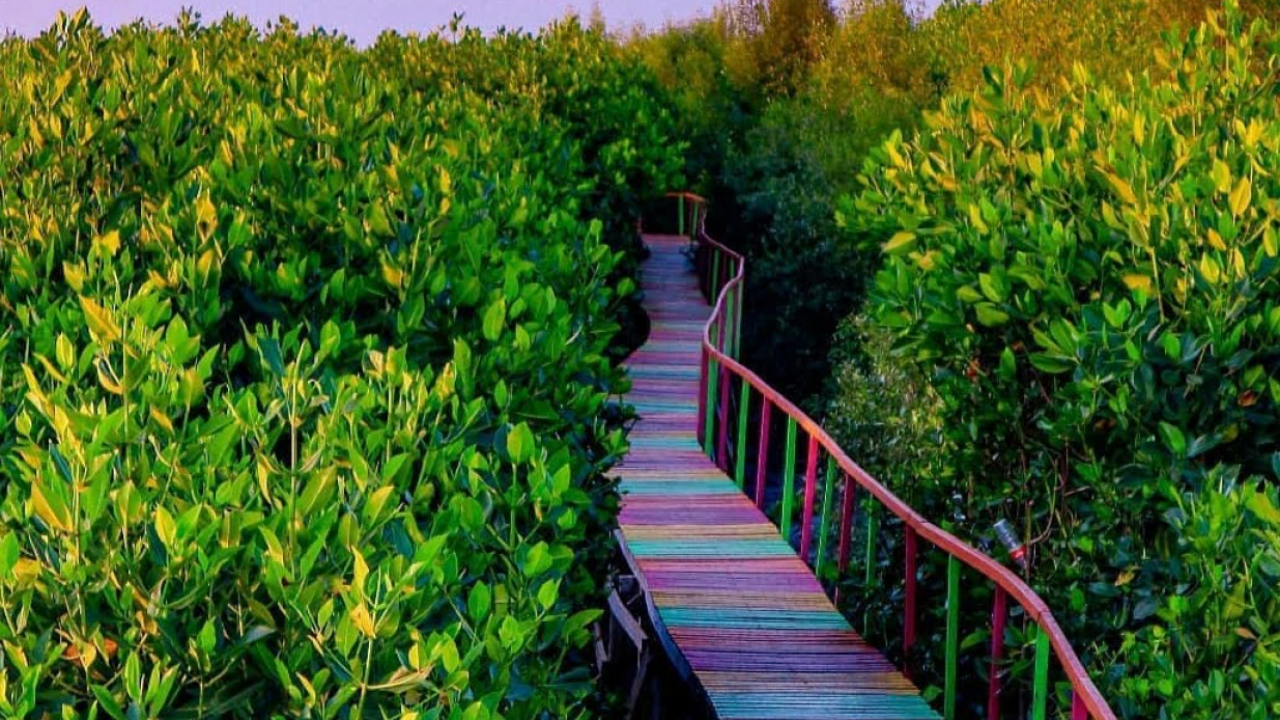 Taman Mangrove