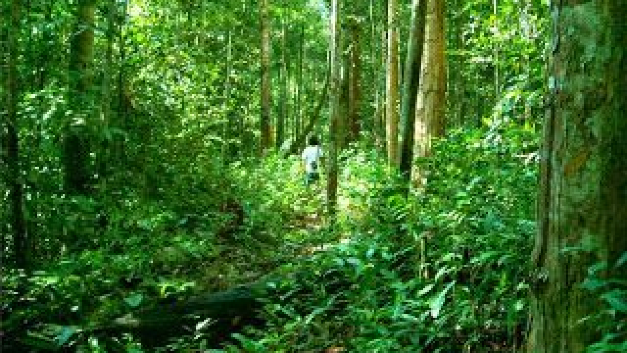 Keanekaragaman Hayati dan Ekowisata Alam