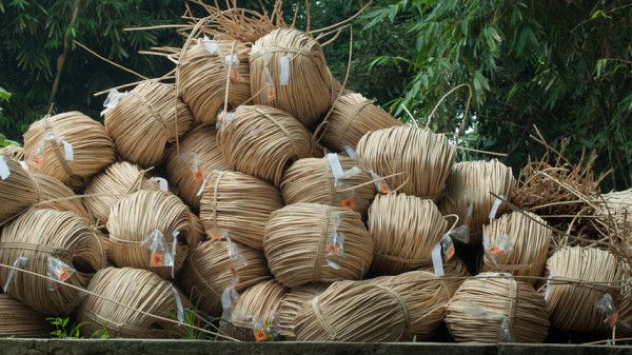 Hasil Hutan Bukan Kayu (HHBK)