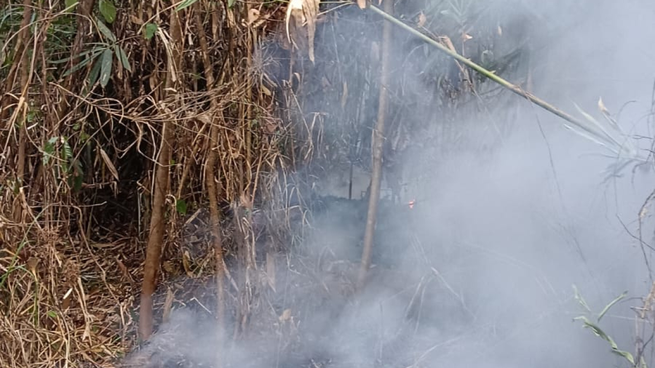 Bahaya Kebakaran Lahan di Musim Kemarau di Lingkup Desa Biku Sarana