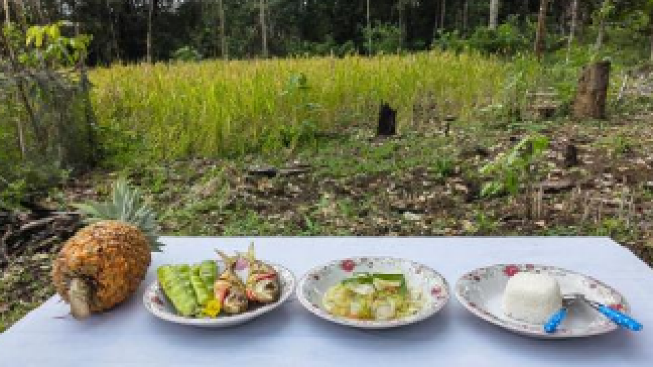 Rumah Kebun AA Jelai Hulu