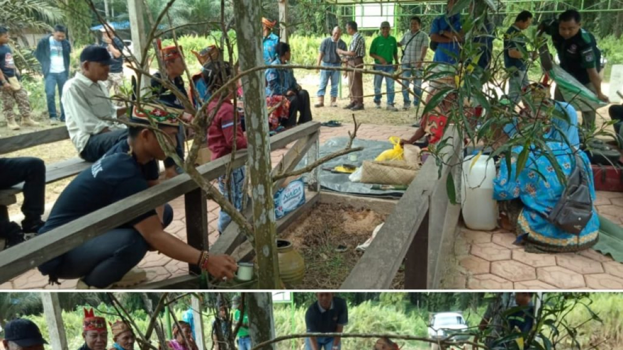Pertanian dan Perkebunan Lokal