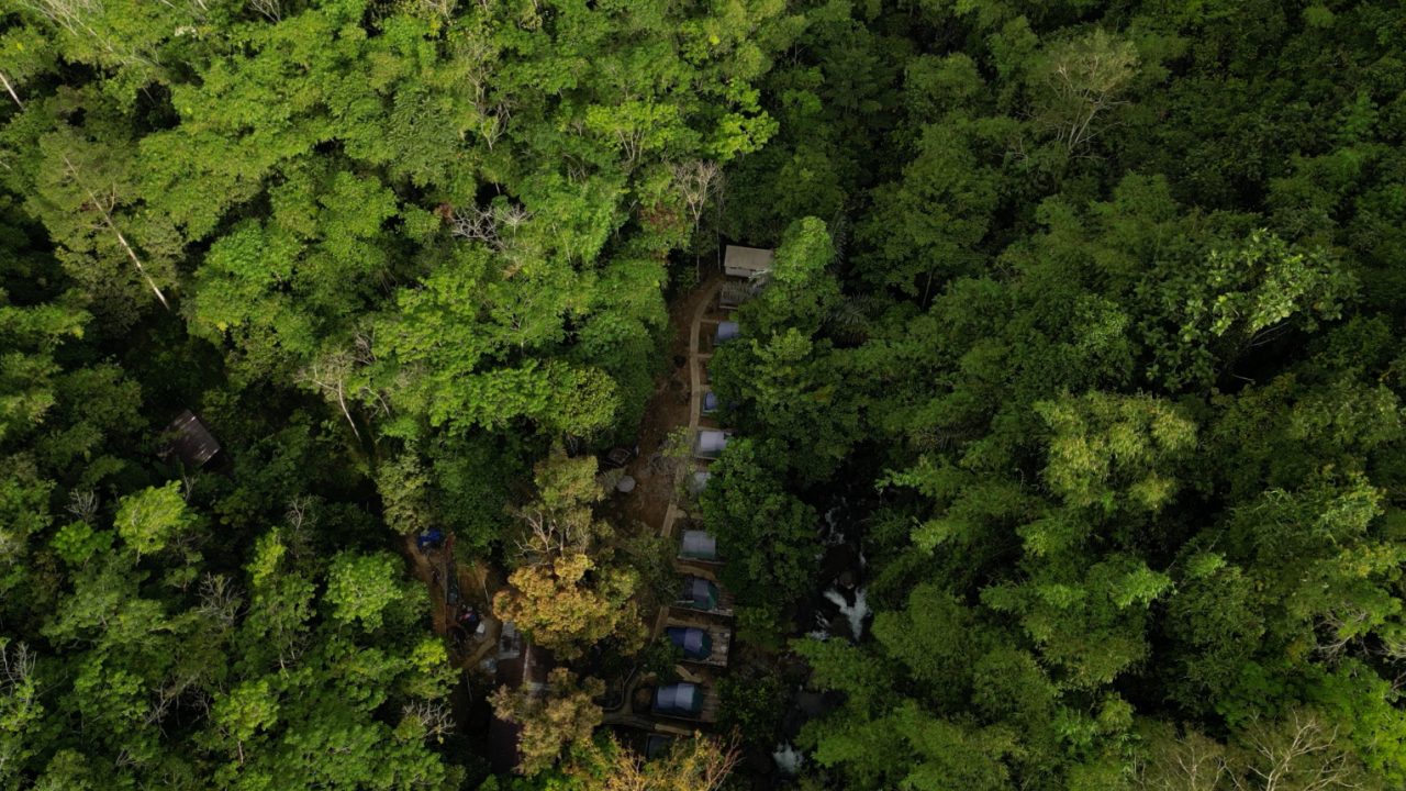 Upaya Petani di Ketapang Kalbar Swadaya Jaga Pelestarian Alam