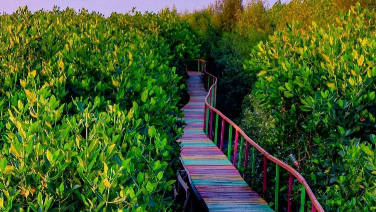 Taman Mangrove
