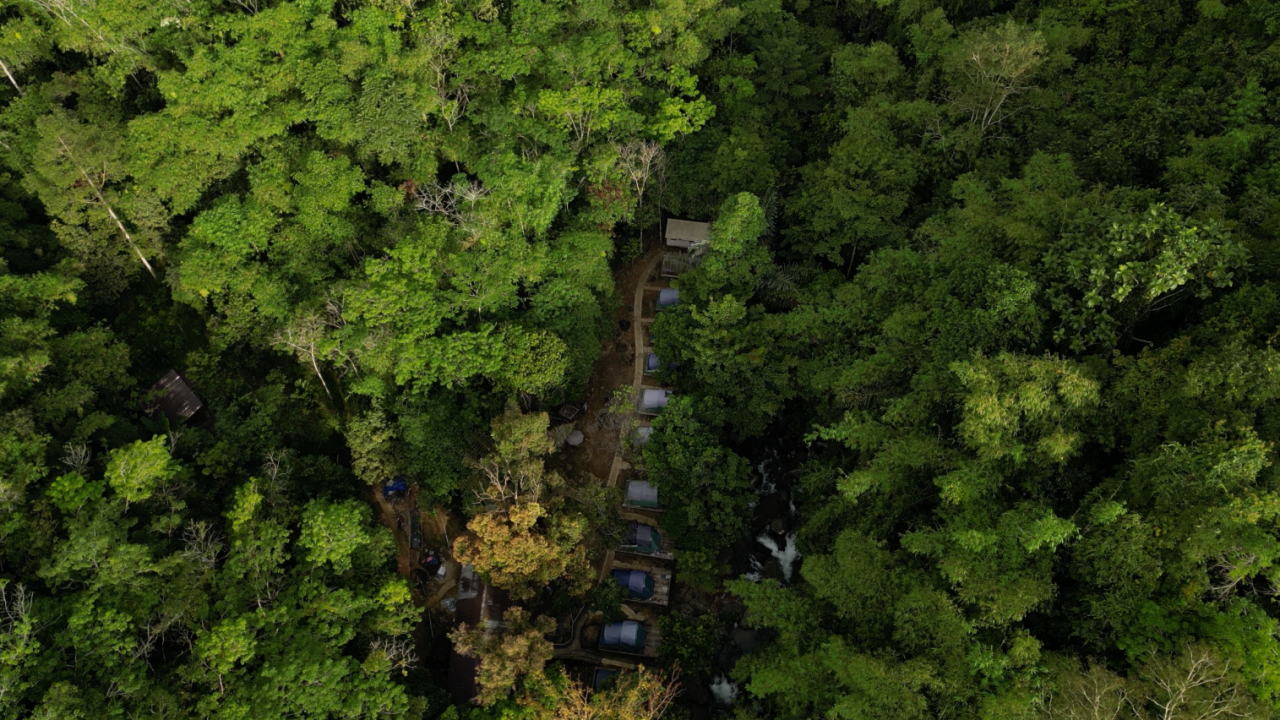Upaya Petani di Ketapang Kalbar Swadaya Jaga Pelestarian Alam