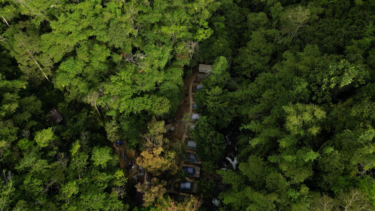 Upaya Petani di Ketapang Kalbar Swadaya Jaga Pelestarian Alam