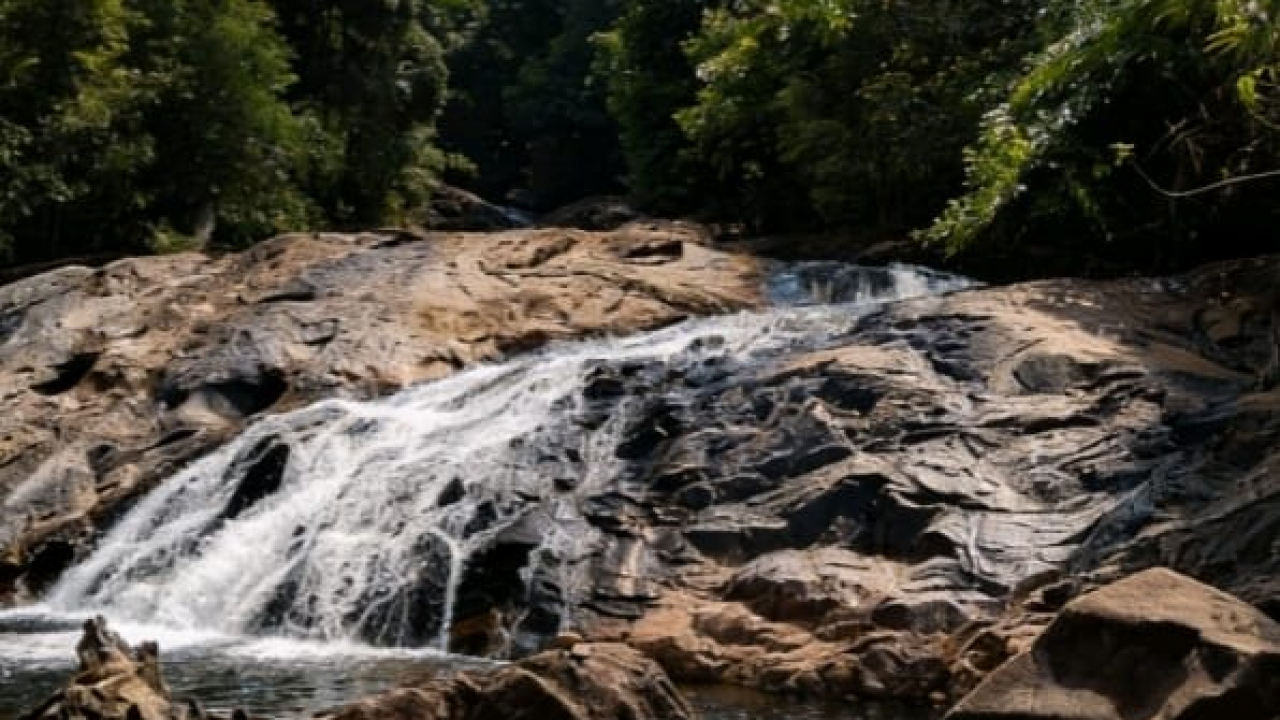Eksplor Karang Dangin: Wisata Desa Alami & Budaya Ketapang